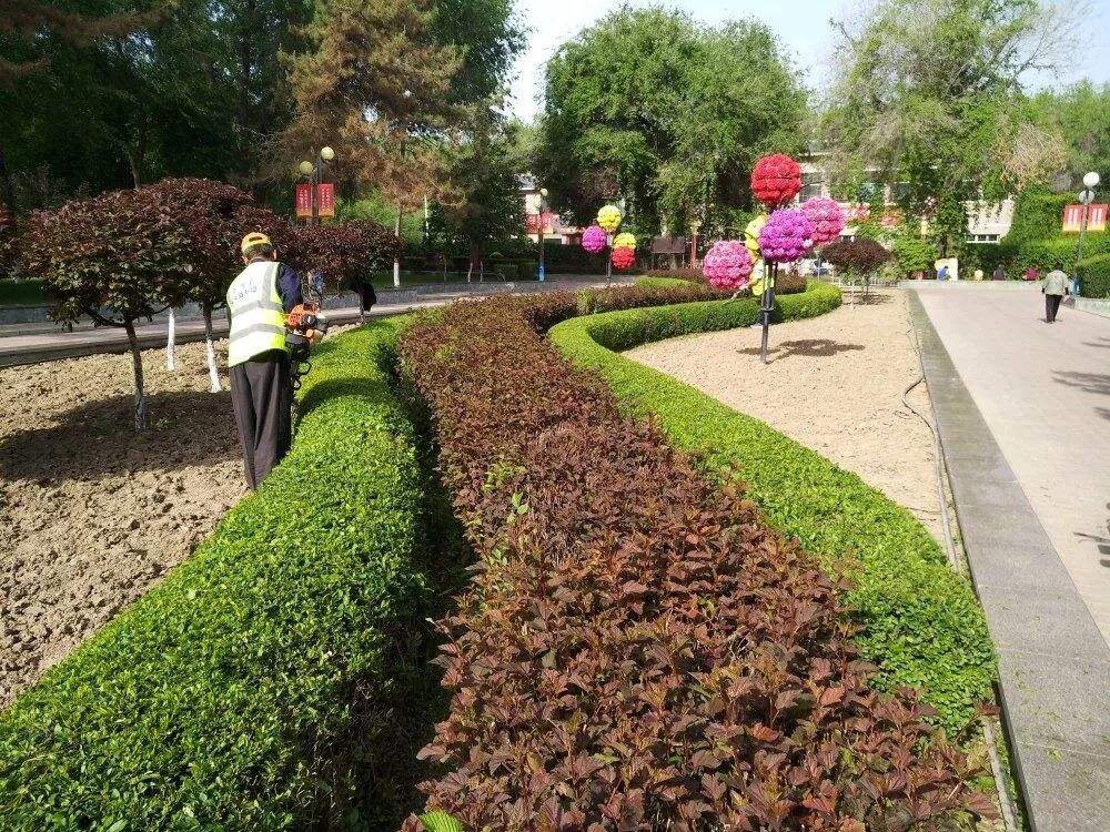 如何作好绿化工程后期的养护?(图1)