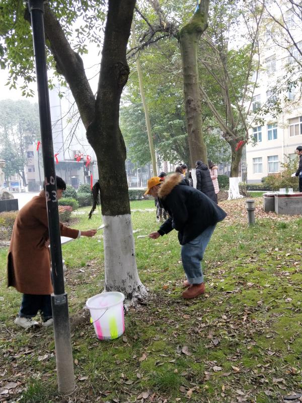 园林绿化养护的基本工作内容有哪些呢?(图1)